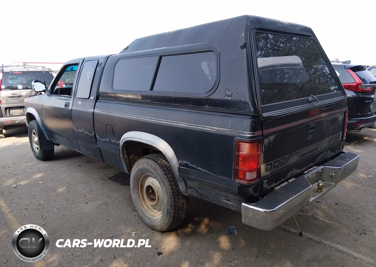 1995 Dodge Dakota VIN:1B7GG23Y3SS164924 - 3