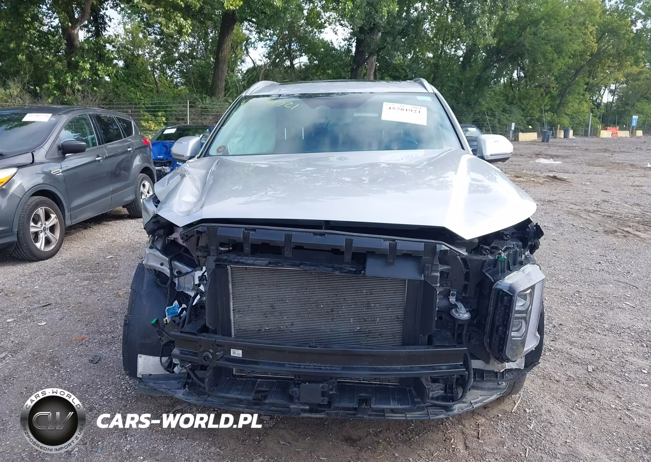 2025 Hyundai Palisade Sel Premium VIN:KM8R4DGE9SU908622 - 13