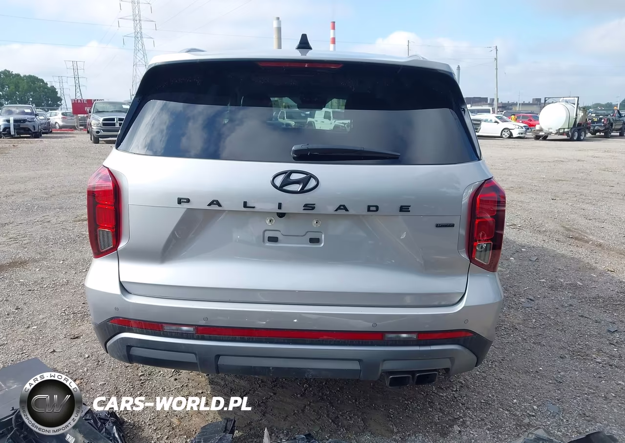 2025 Hyundai Palisade Sel Premium VIN:KM8R4DGE9SU908622 - 17