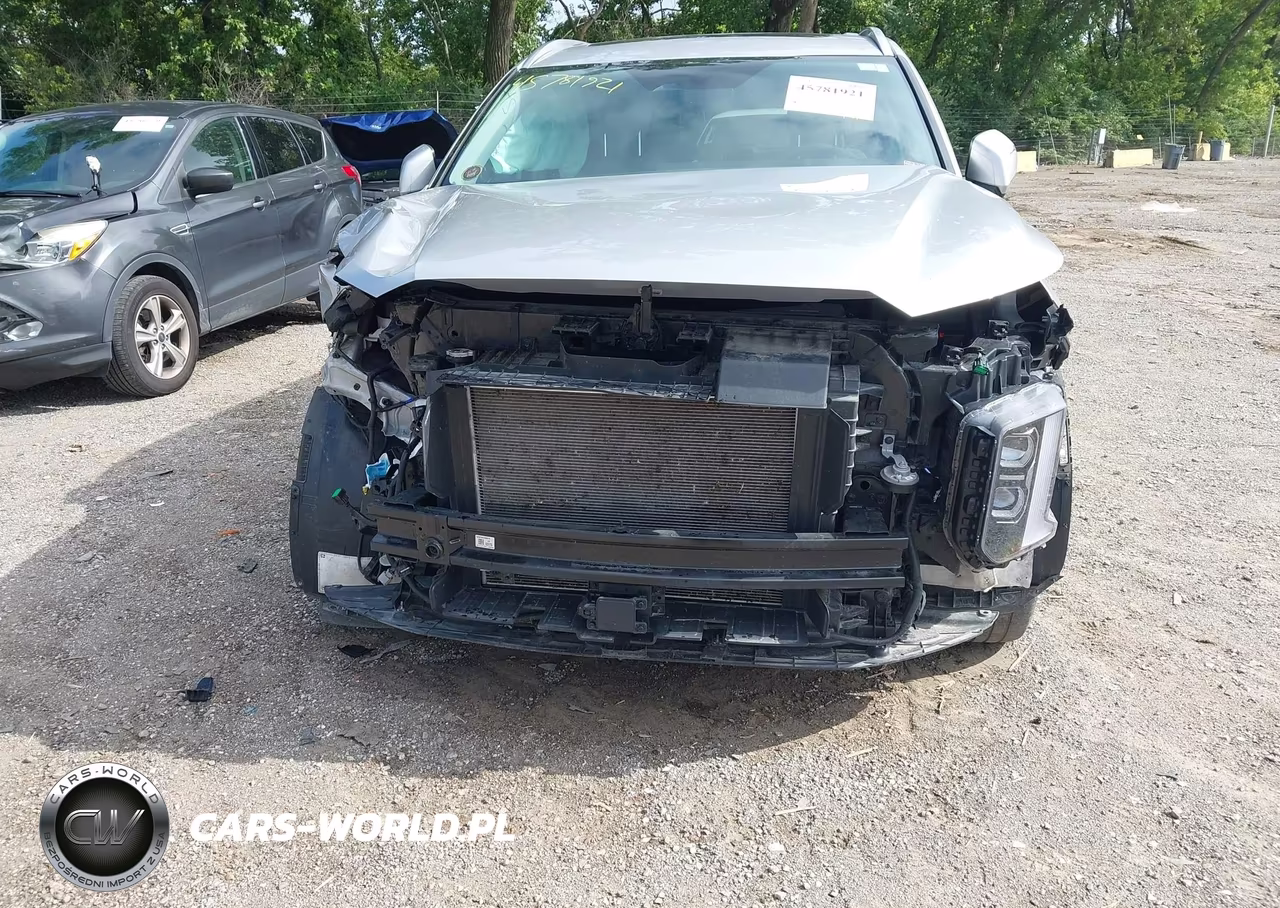 2025 Hyundai Palisade Sel Premium VIN:KM8R4DGE9SU908622 - 6
