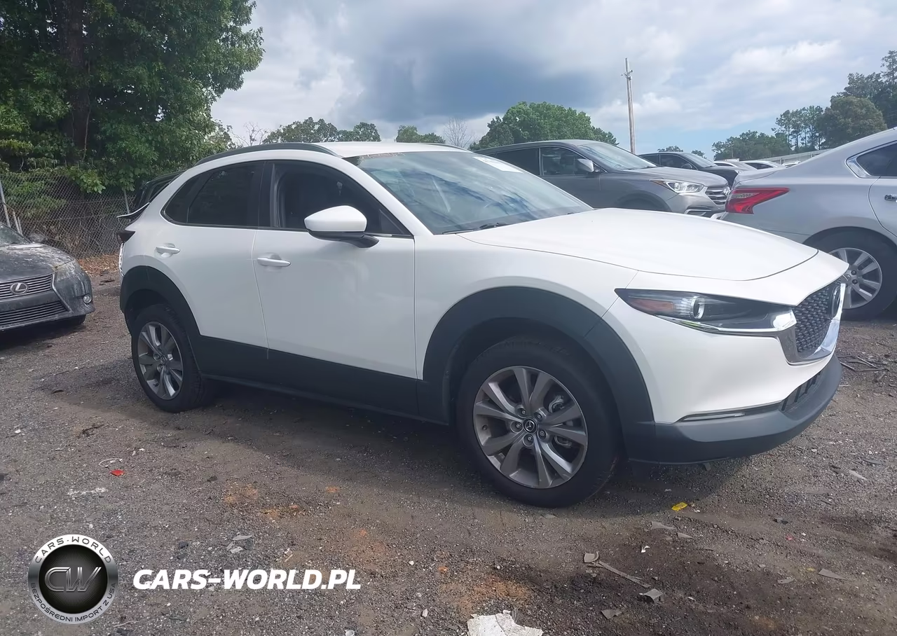 2023 Mazda Cx-30 2.5 S Select VIN:3MVDMBBM7PM576109 - 12