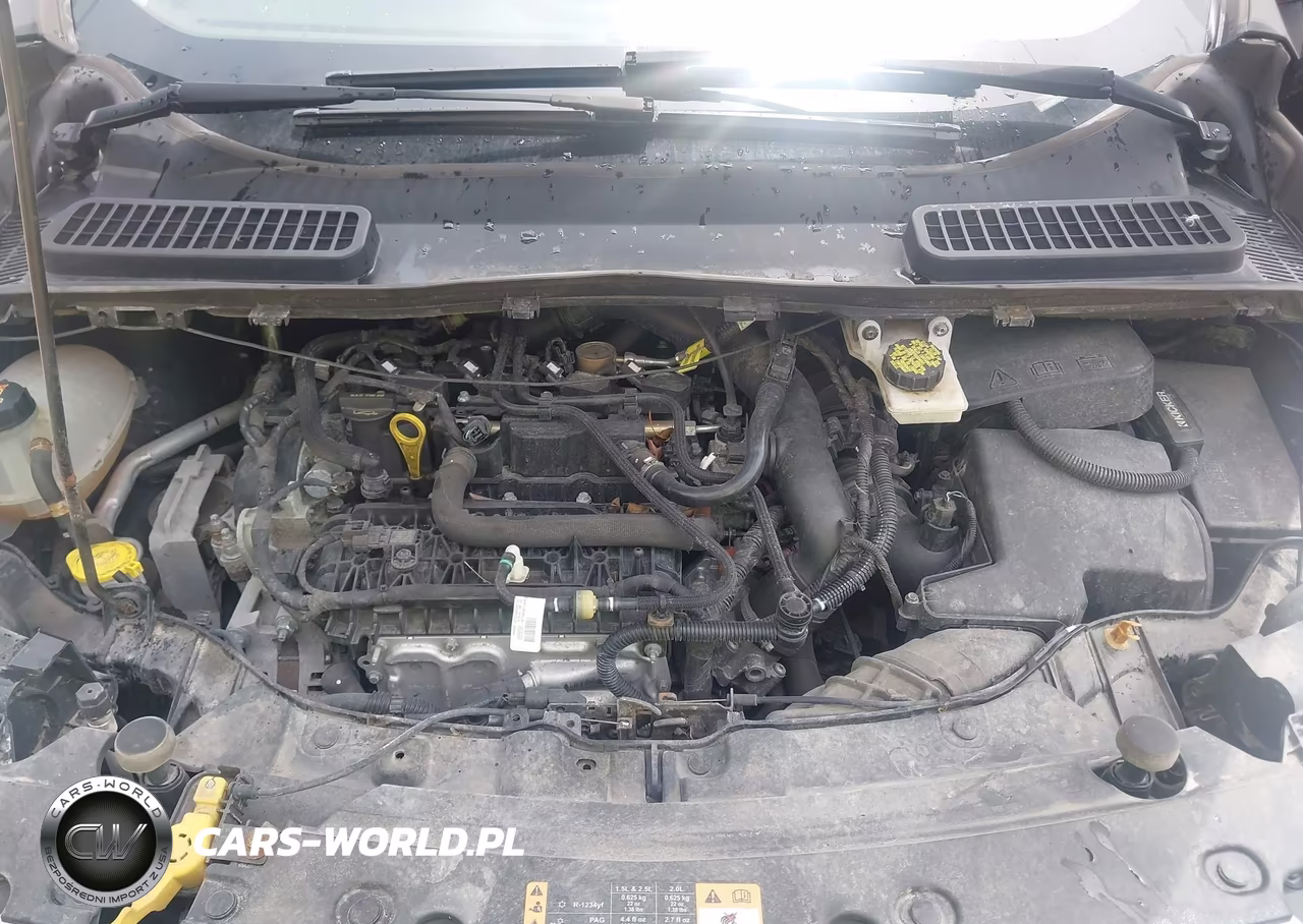 2019 Ford Escape Se VIN:1FMCU9GD7KUA80872 - 10