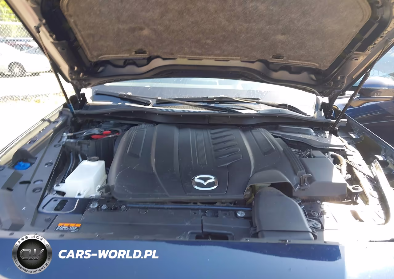 2024 Mazda Cx-90 3.3 Turbo Premium VIN:JM3KKDHD9R1166792 - 10