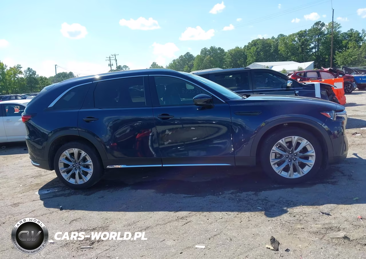 2024 Mazda Cx-90 3.3 Turbo Premium VIN:JM3KKDHD9R1166792 - 13