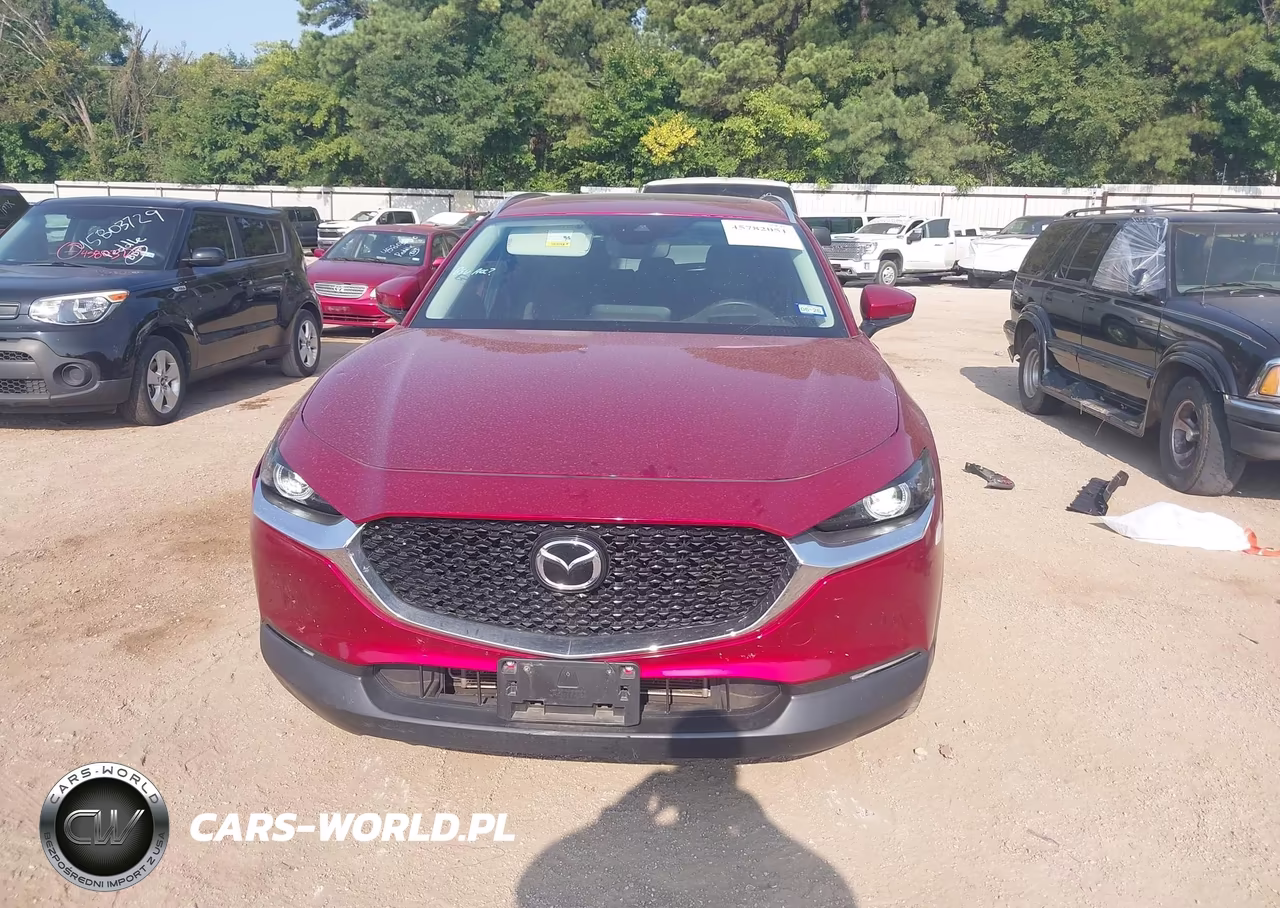 2022 Mazda Cx-30 Premium VIN:3MVDMBDL1NM424683 - 13