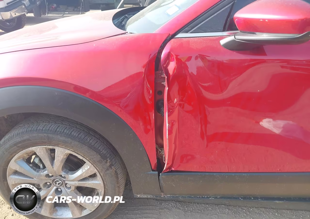 2022 Mazda Cx-30 Premium VIN:3MVDMBDL1NM424683 - 19