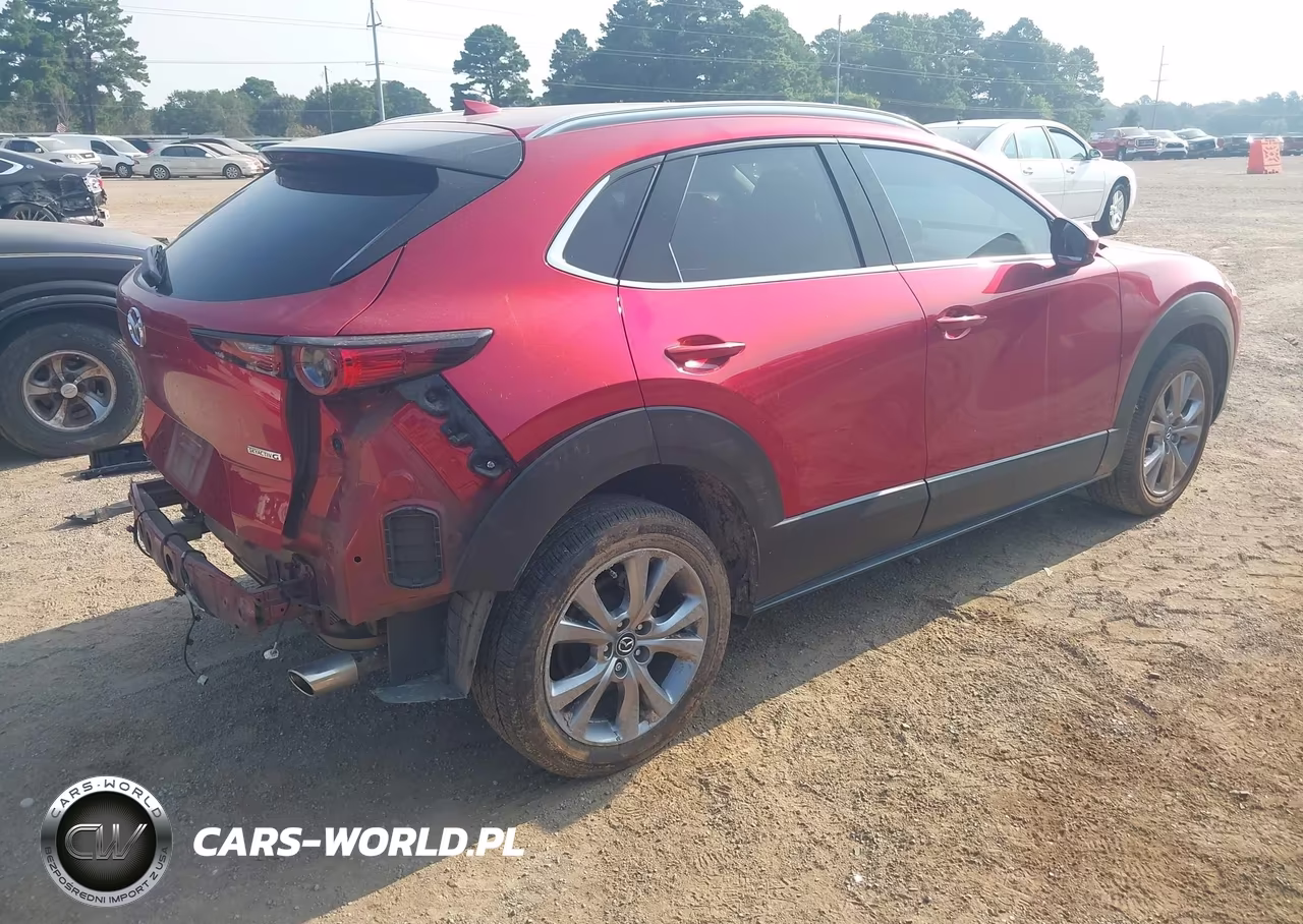 2022 Mazda Cx-30 Premium VIN:3MVDMBDL1NM424683 - 4