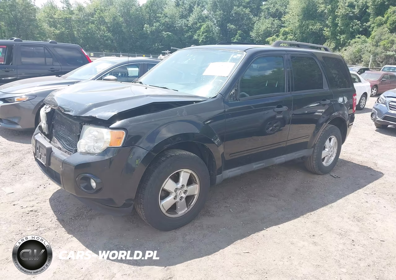 2010 Ford Escape Xlt VIN:1FMCU9DG4AKA41813 - 2