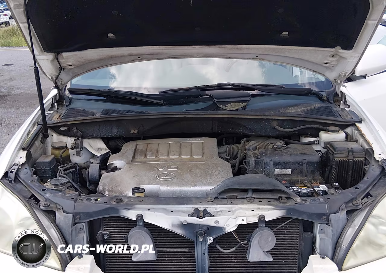 2009 Lexus Rx 350 VIN:2T2GK31U49C081496 - 10