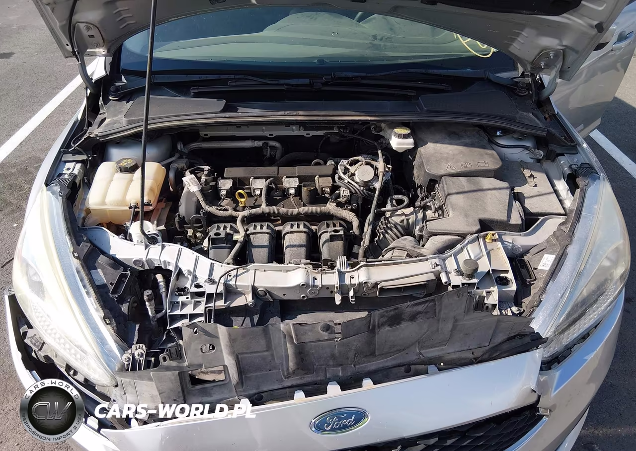 2018 Ford Focus Se VIN:1FADP3K24JL303219 - 10