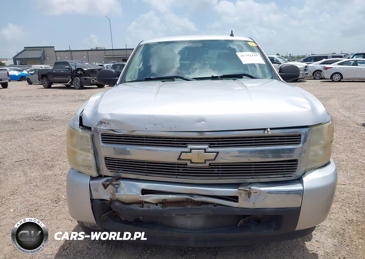 2010 Chevrolet Silverado 1500 Lt VIN:3GCRCSEA0AG179455 - 12