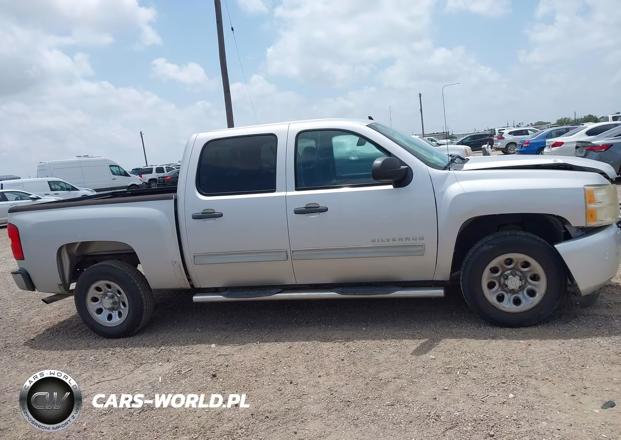 2010 Chevrolet Silverado 1500 Lt VIN:3GCRCSEA0AG179455 - 13