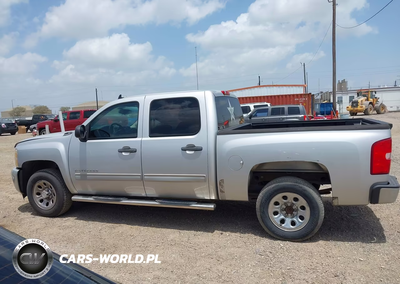 2010 Chevrolet Silverado 1500 Lt VIN:3GCRCSEA0AG179455 - 14