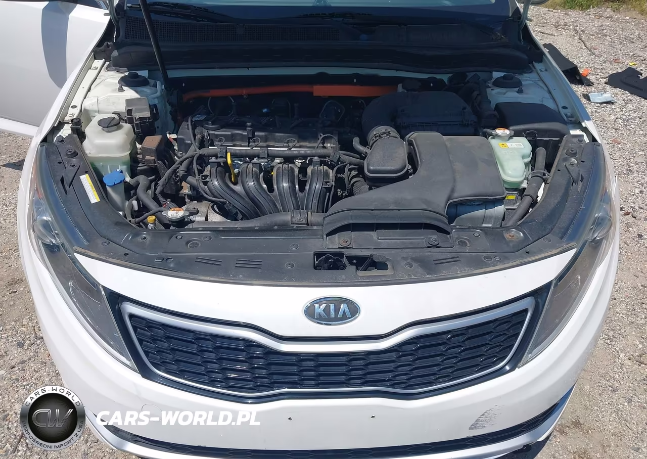 2012 Kia Optima Hybrid Ex VIN:KNAGM4AD7C5017667 - 10