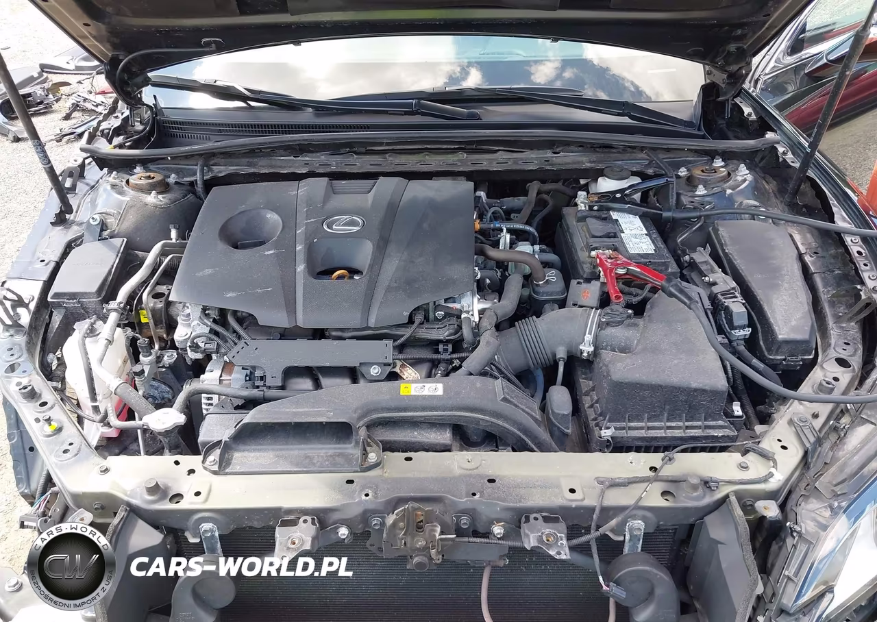 2021 Lexus Es 250 VIN:58AD11D17MU005190 - 10