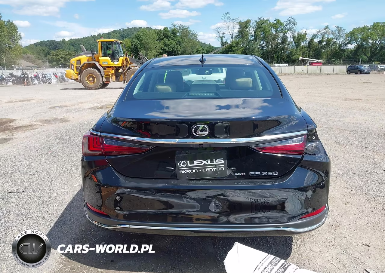 2021 Lexus Es 250 VIN:58AD11D17MU005190 - 17
