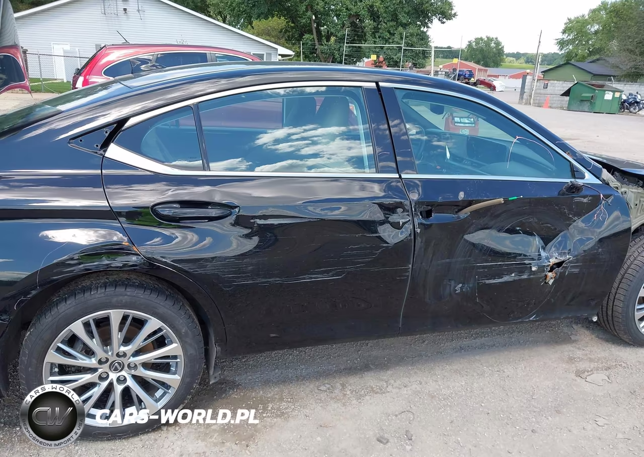 2021 Lexus Es 250 VIN:58AD11D17MU005190 - 19