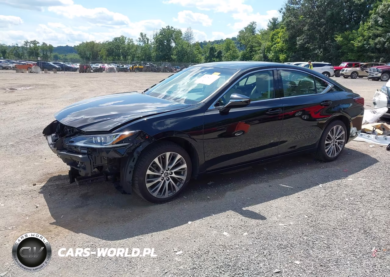 2021 Lexus Es 250 VIN:58AD11D17MU005190 - 2