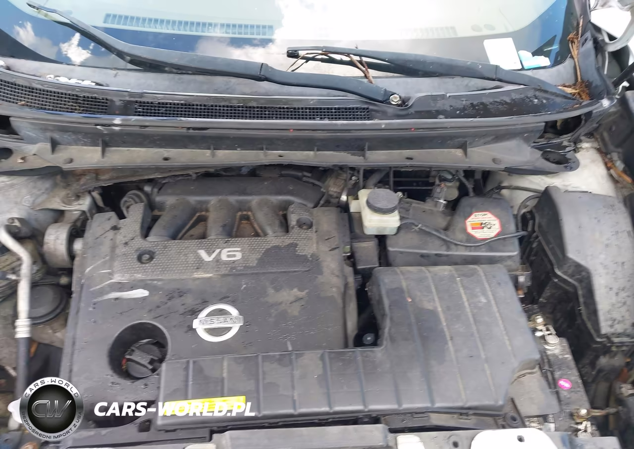 2009 Nissan Murano Le VIN:JN8AZ18W89W137078 - 10