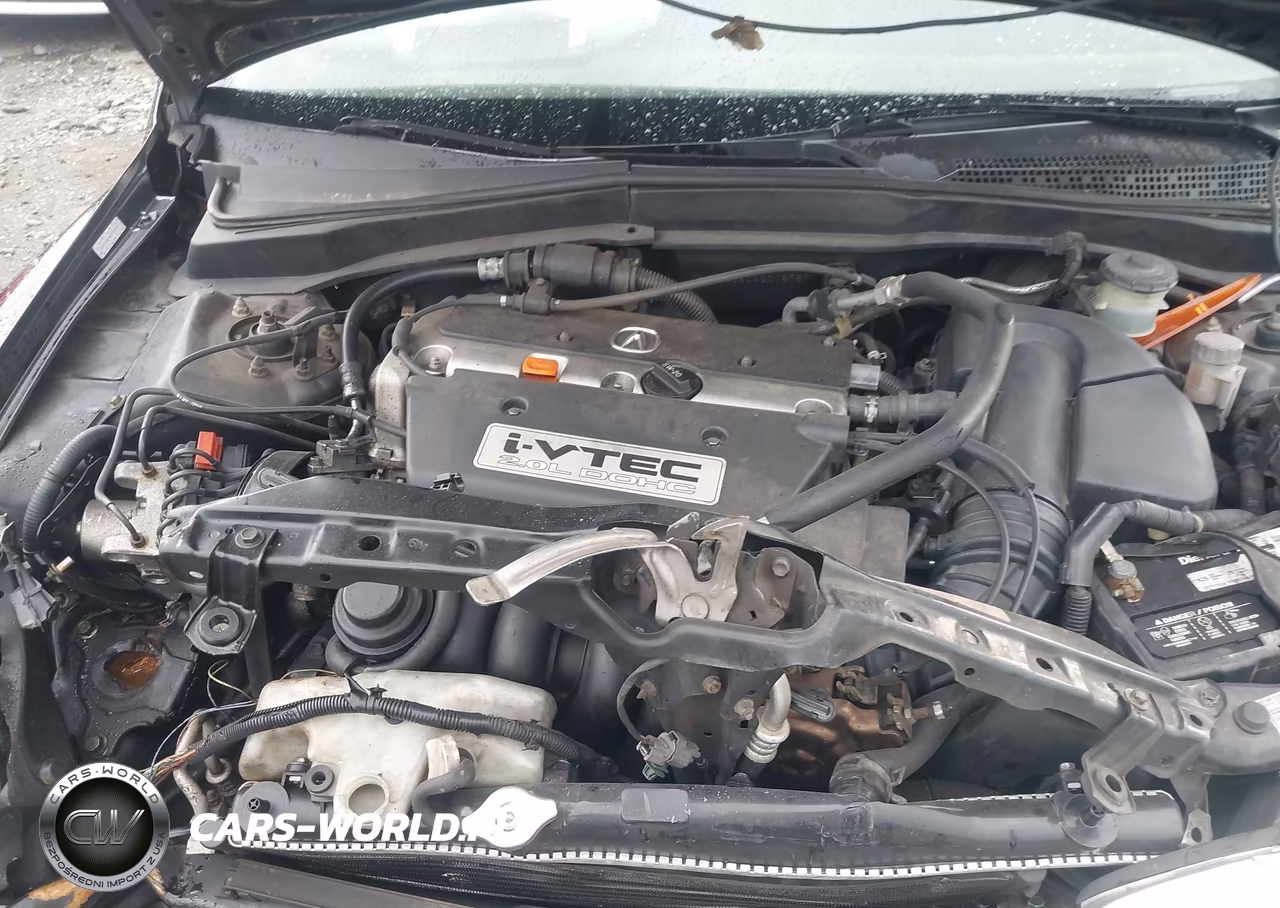 2004 Acura Rsx VIN:JH4DC53804S018787 - 10