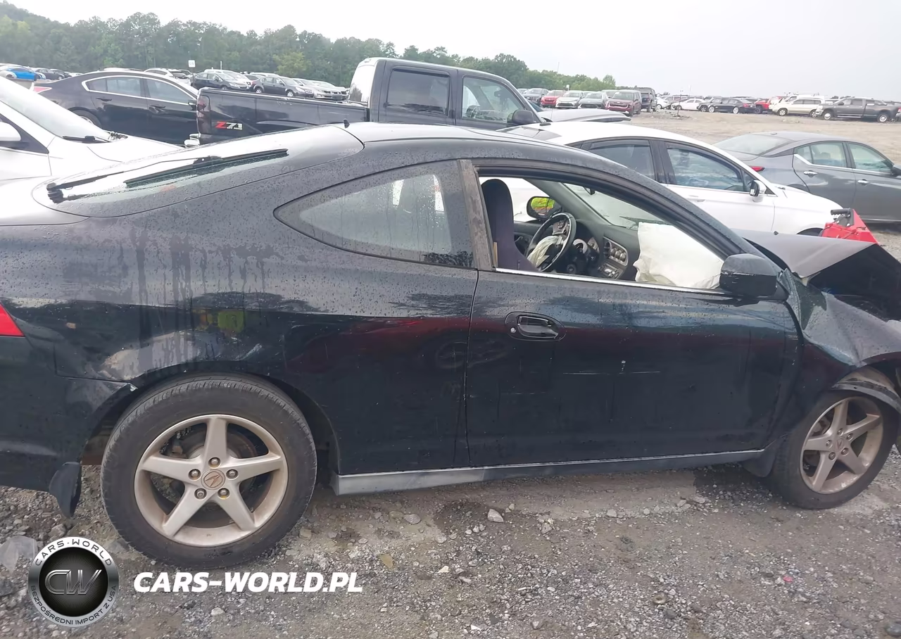 2004 Acura Rsx VIN:JH4DC53804S018787 - 12