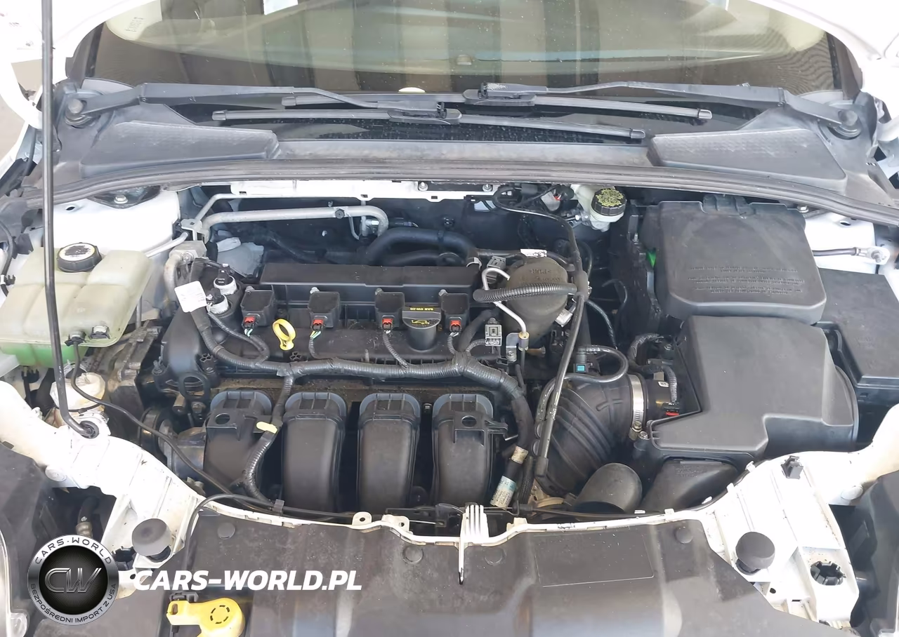 2013 Ford Focus Se VIN:1FADP3F22DL237445 - 10