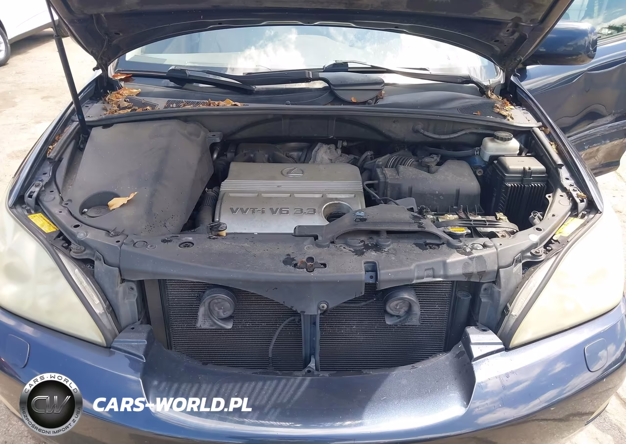 2004 Lexus Rx 330 VIN:2T2HA31U64C019419 - 10