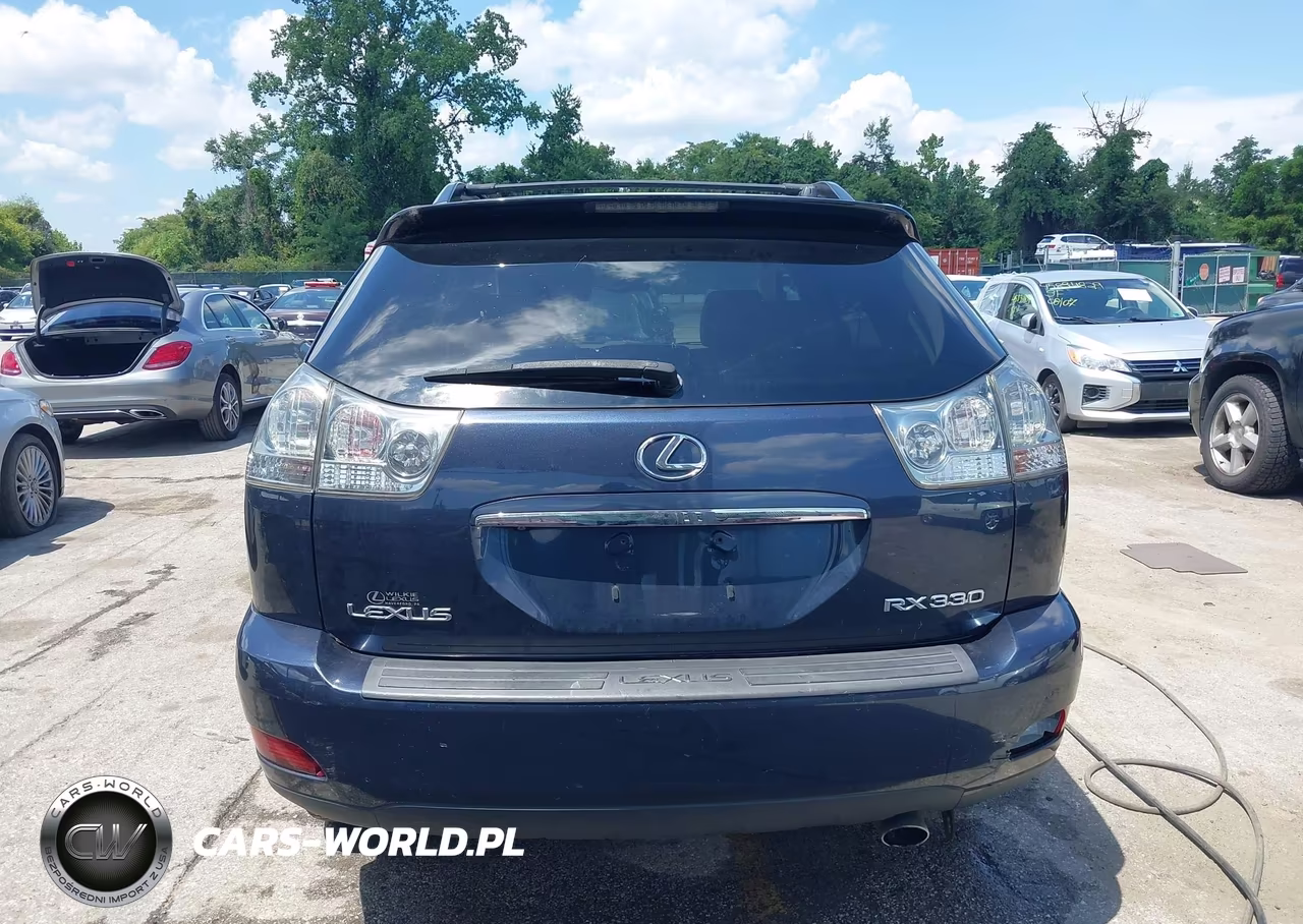 2004 Lexus Rx 330 VIN:2T2HA31U64C019419 - 16