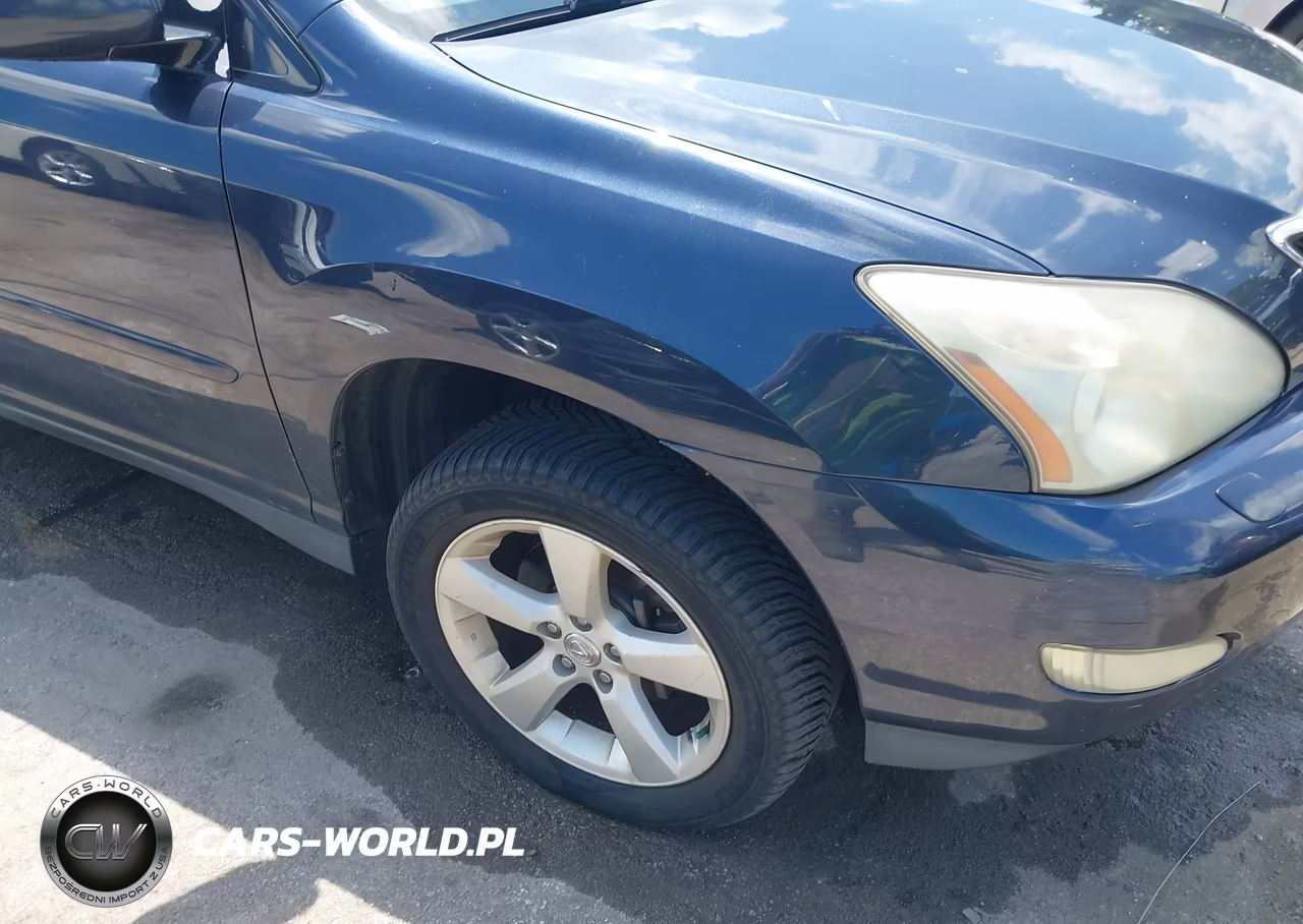 2004 Lexus Rx 330 VIN:2T2HA31U64C019419 - 21