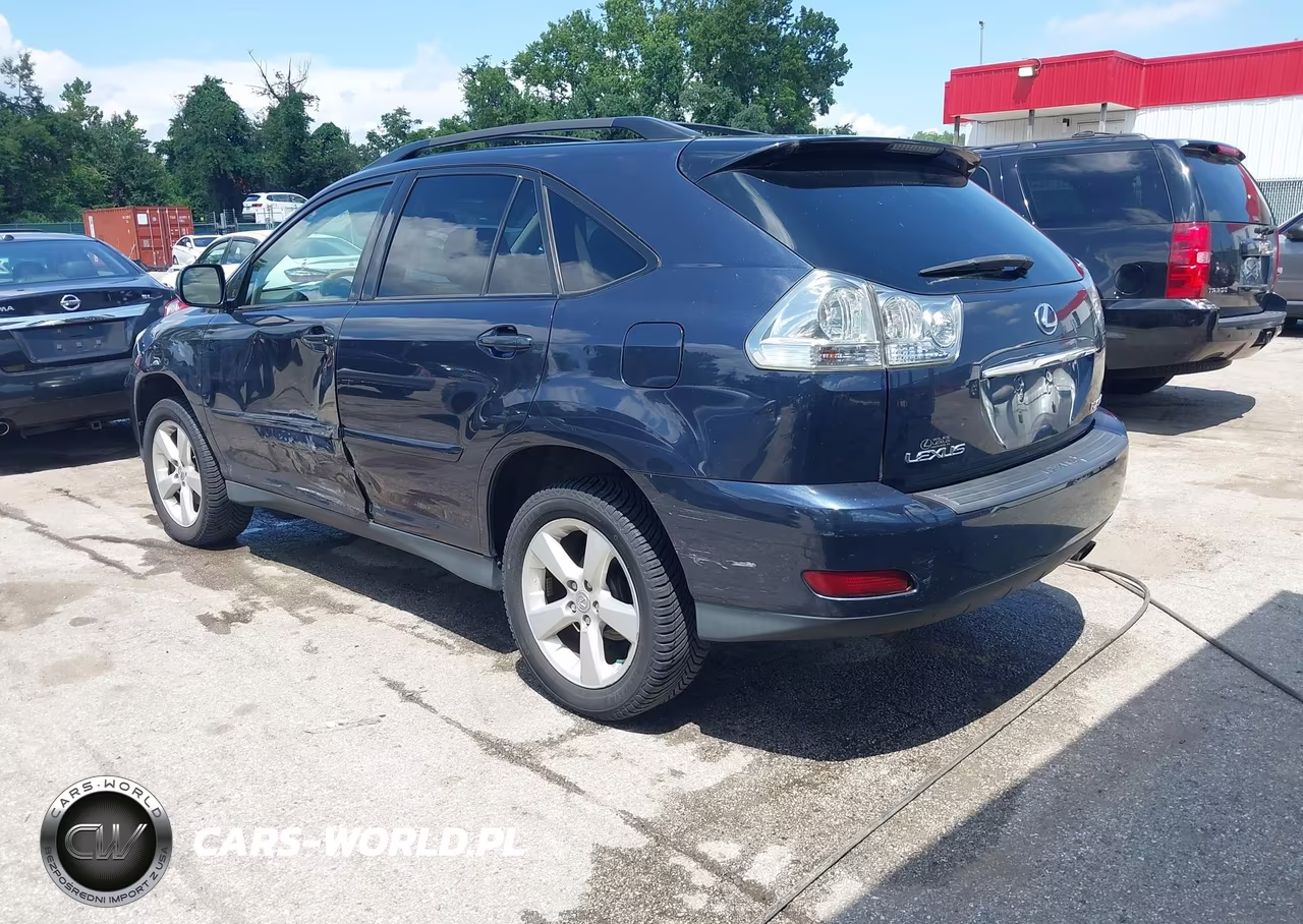 2004 Lexus Rx 330 VIN:2T2HA31U64C019419 - 3