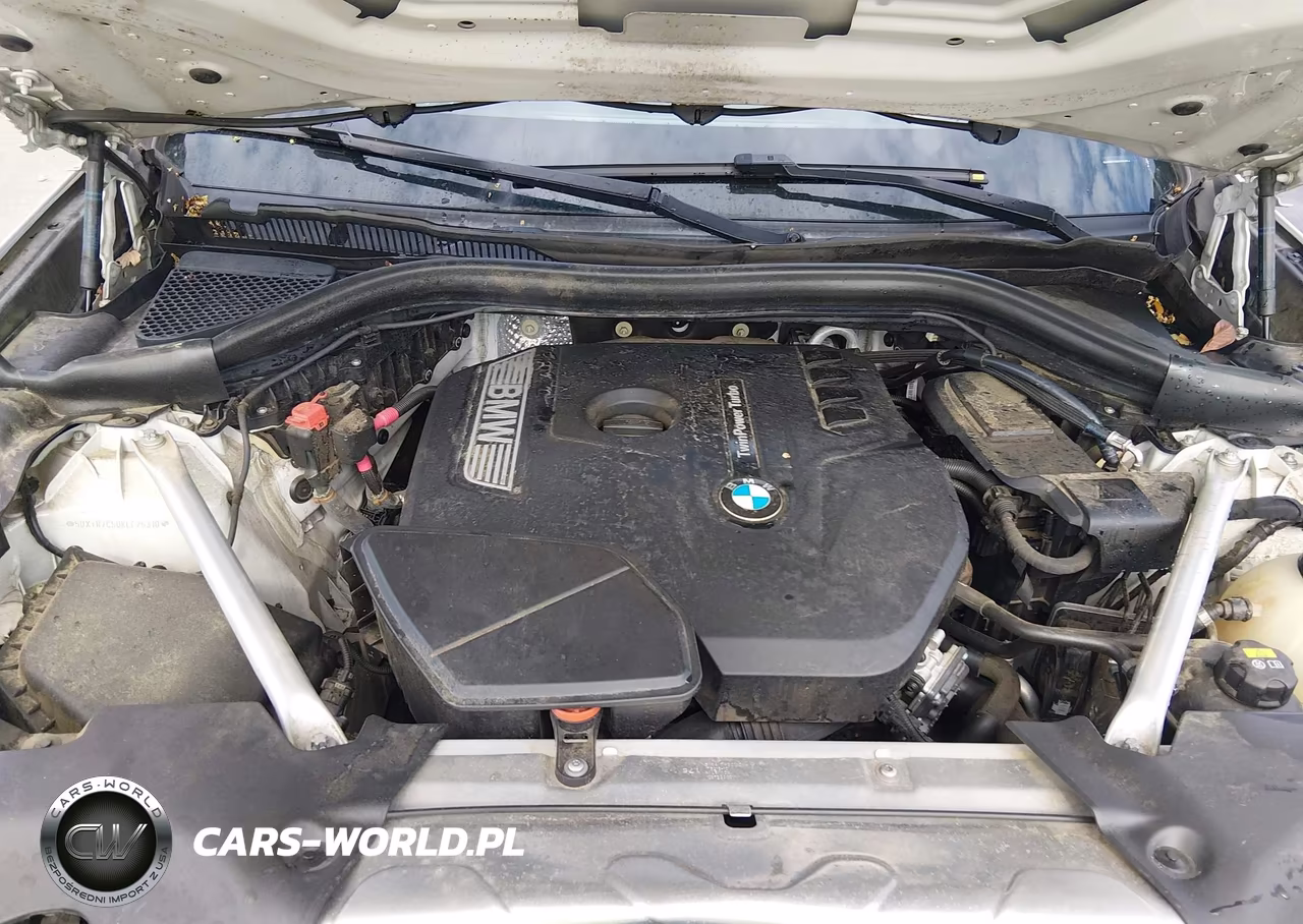 2019 BMW X3 Sdrive30I VIN:5UXTR7C50KLF25310 - 10