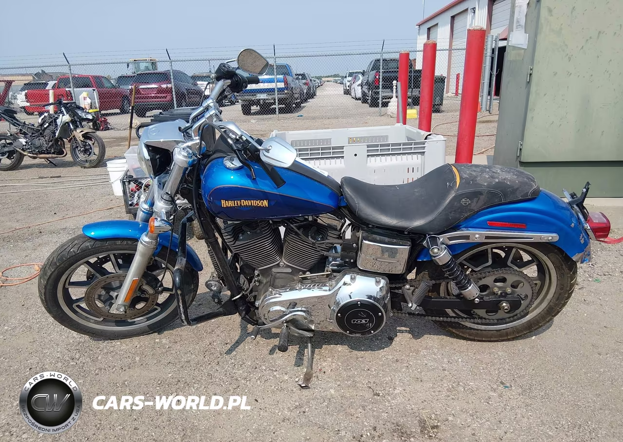 2017 Harley-Davidson Fxdl Dyna Low Rider VIN:1HD1GNM16HC315250 - 12