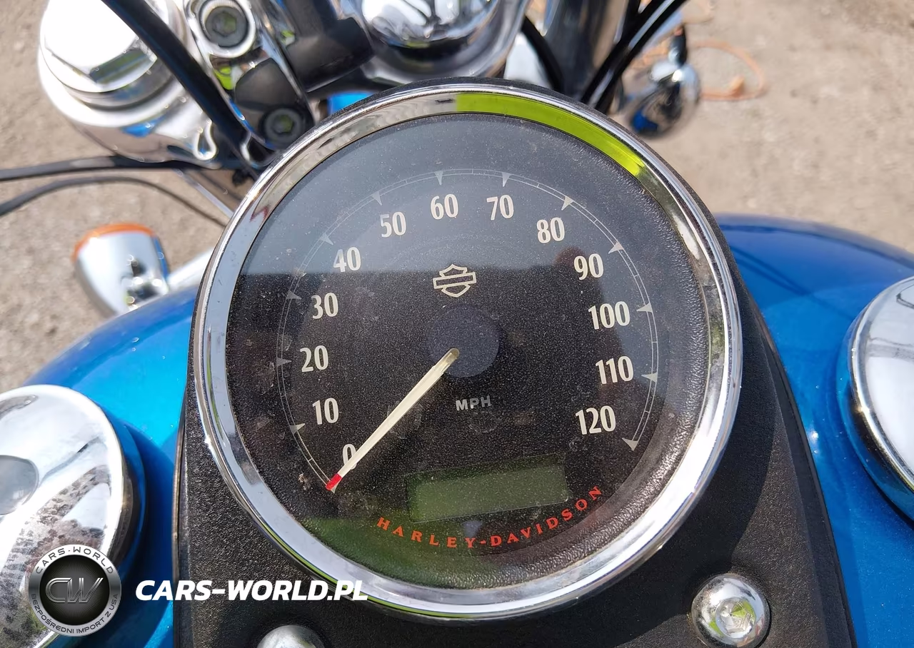2017 Harley-Davidson Fxdl Dyna Low Rider VIN:1HD1GNM16HC315250 - 7