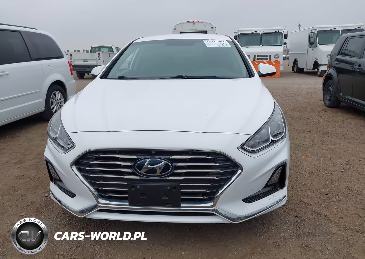 2019 Hyundai Sonata Se VIN:5NPE24AF2KH814912 - 12
