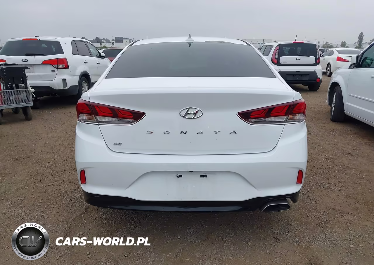 2019 Hyundai Sonata Se VIN:5NPE24AF2KH814912 - 16