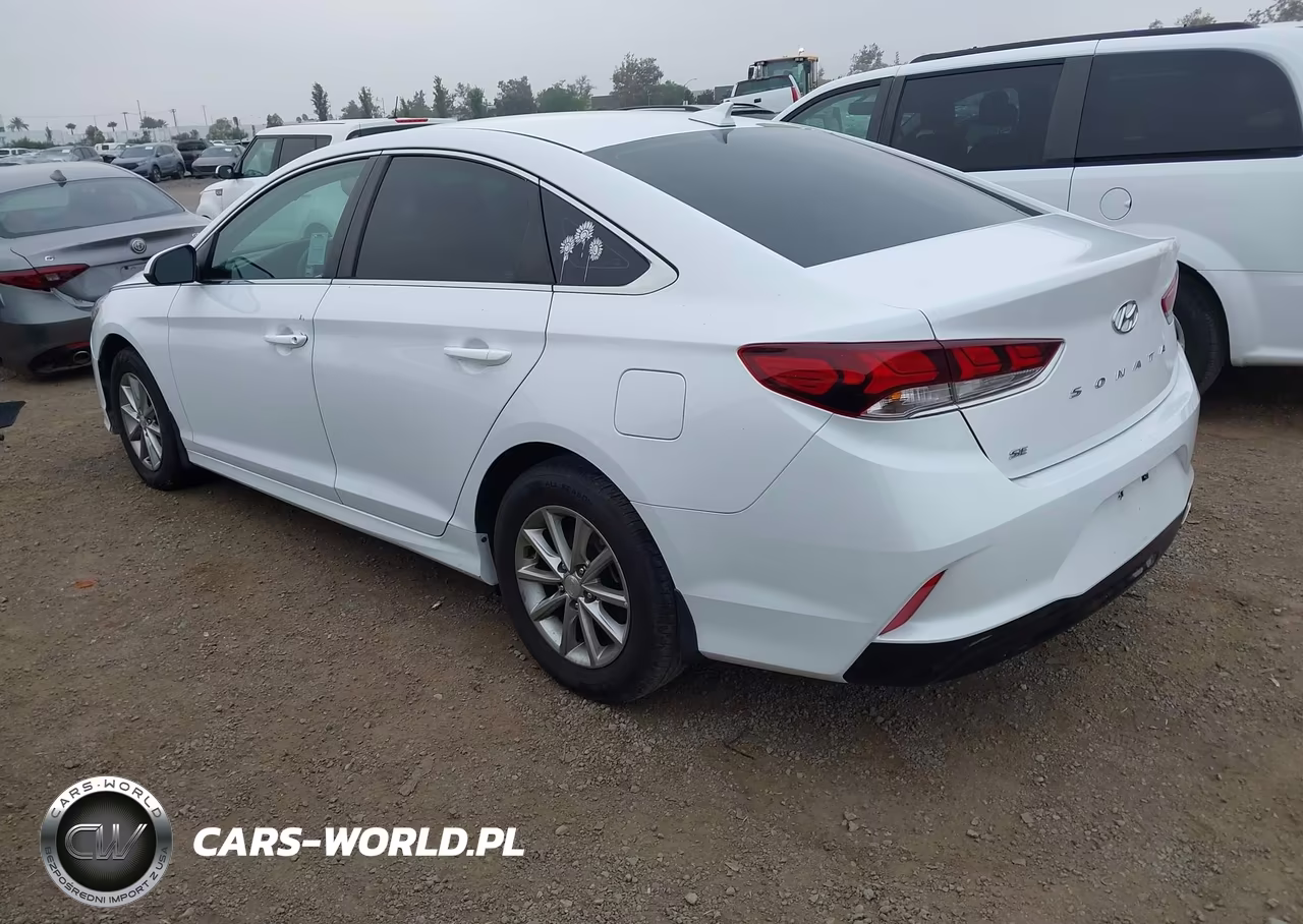 2019 Hyundai Sonata Se VIN:5NPE24AF2KH814912 - 3