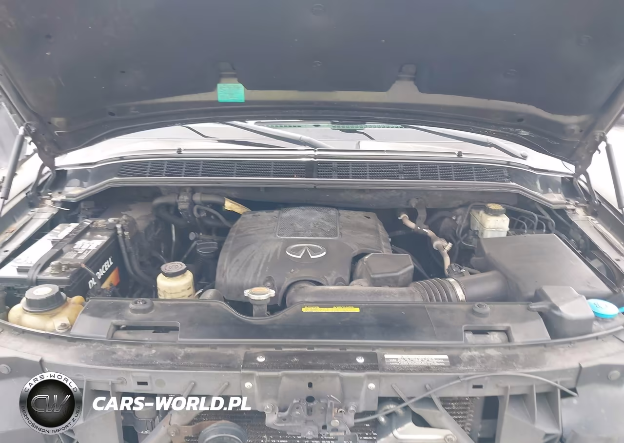 2010 Infiniti Qx56 VIN:5N3ZA0ND4AN900746 - 10