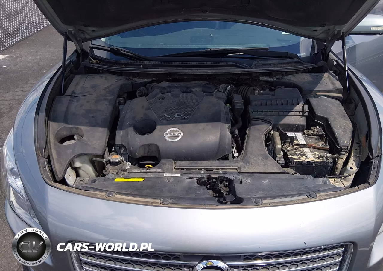 2009 Nissan Maxima 3.5 Sv VIN:1N4AA51E99C816702 - 10