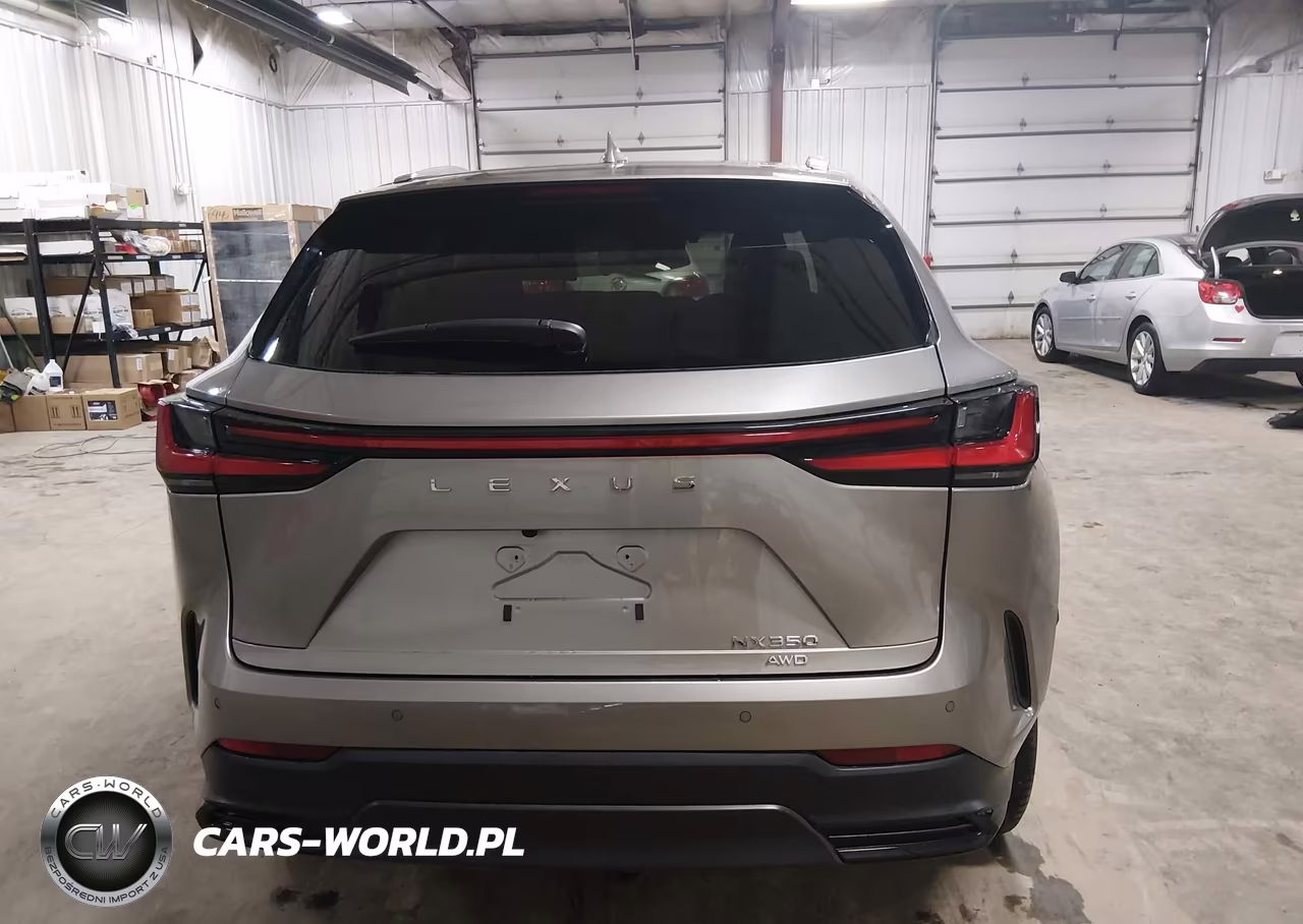 2024 Lexus Nx 350 Luxury VIN:2T2HGCEZ5RC051130 - 17