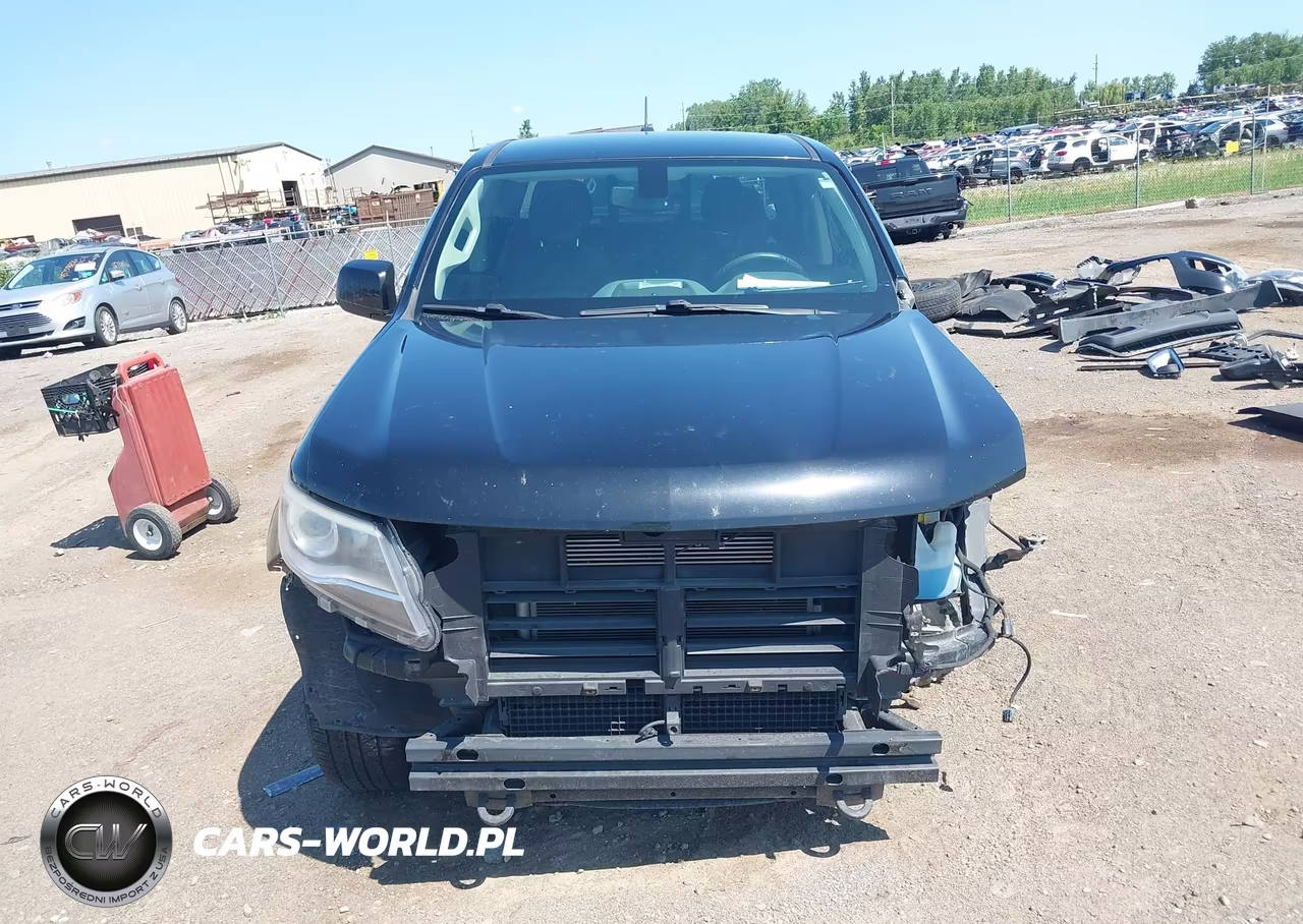 2016 Chevrolet Colorado 4Wd Z71 VIN:1GCGTDE31G1316530 - 13
