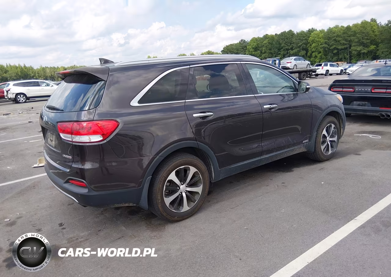 2016 Kia Sorento 2.0T Ex VIN:5XYPHDA1XGG018693 - 4