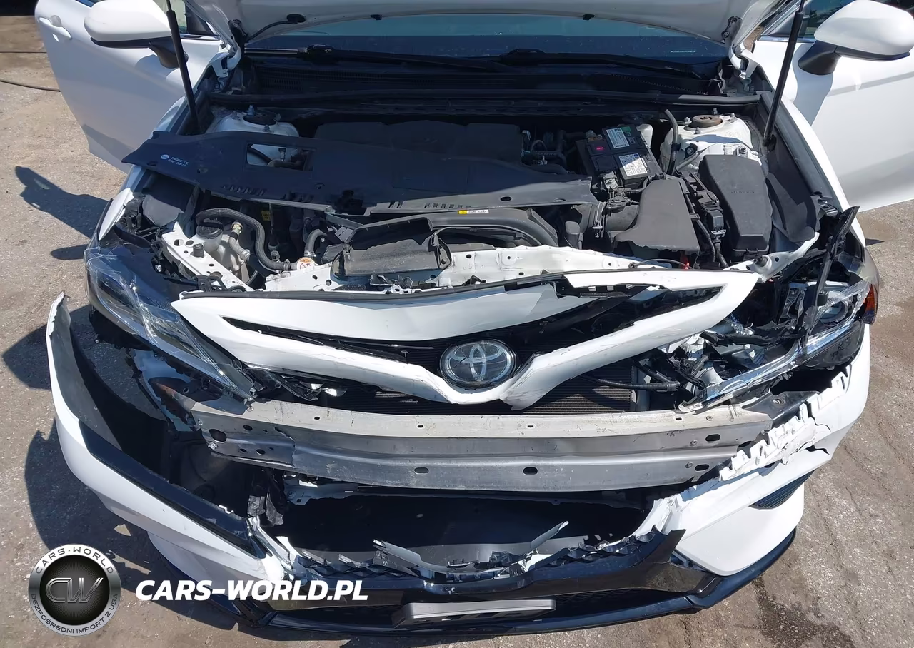 2019 Toyota Camry Se VIN:4T1B11HK3KU272227 - 10