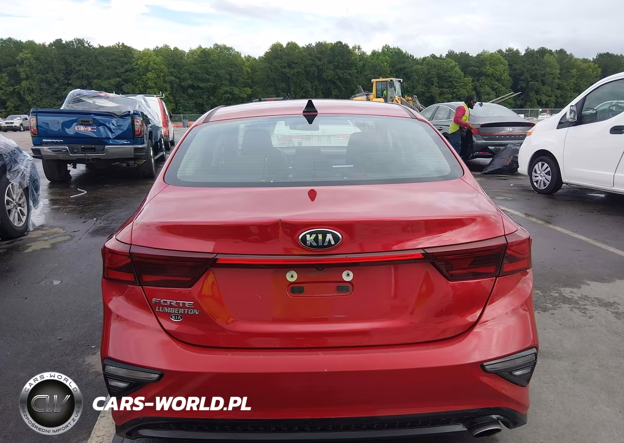 2019 Kia Forte Lxs VIN:3KPF24AD5KE112882 - 17
