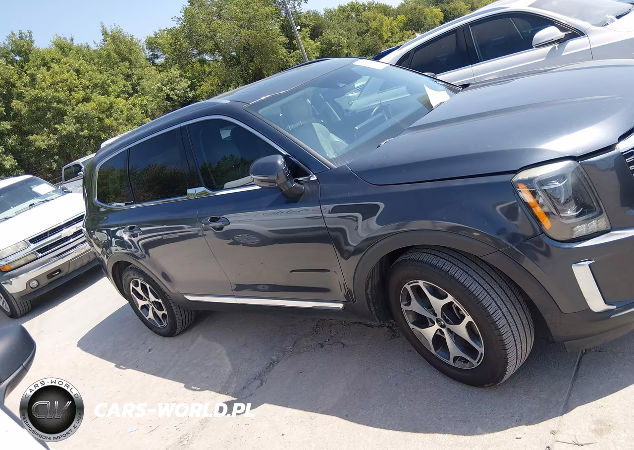 2020 Kia Telluride Ex VIN:5XYP34HC0LG002292 - 13