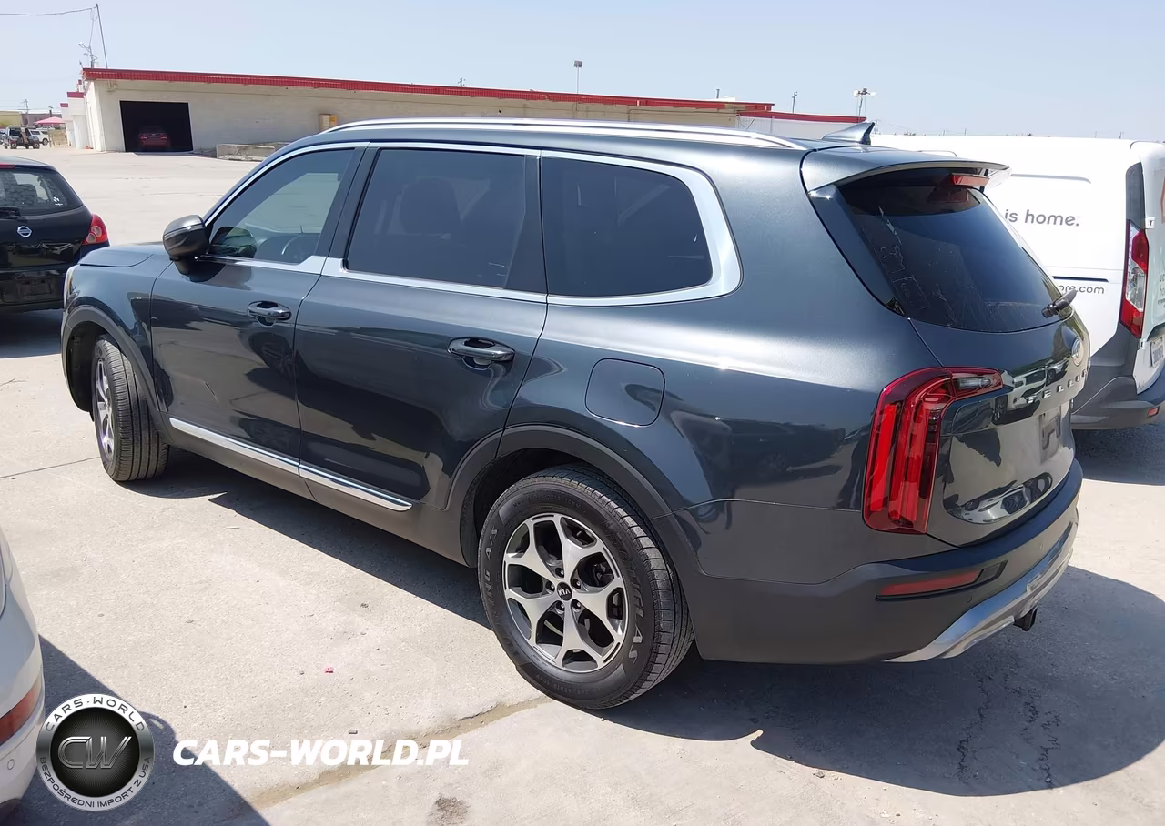 2020 Kia Telluride Ex VIN:5XYP34HC0LG002292 - 3