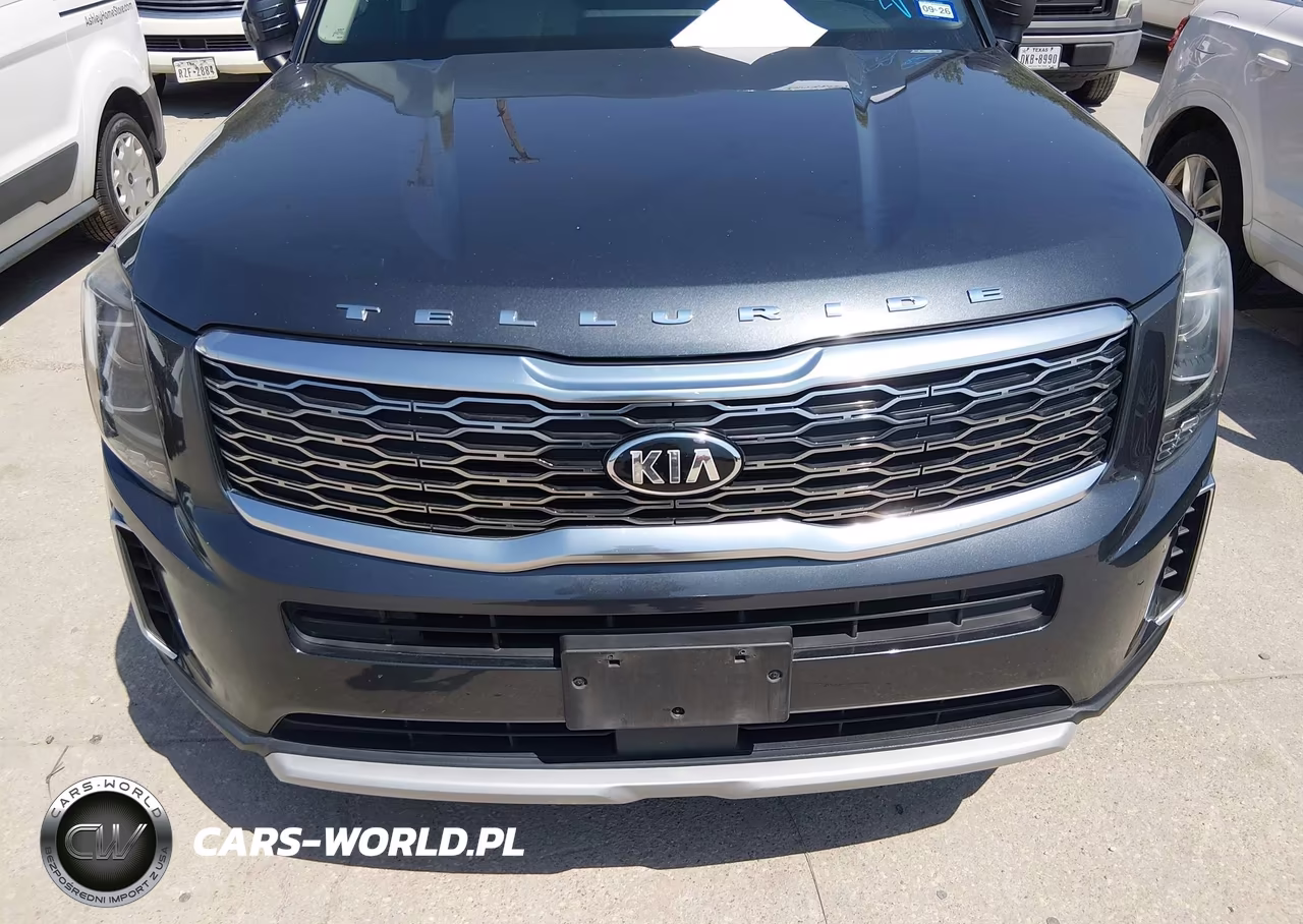 2020 Kia Telluride Ex VIN:5XYP34HC0LG002292 - 6