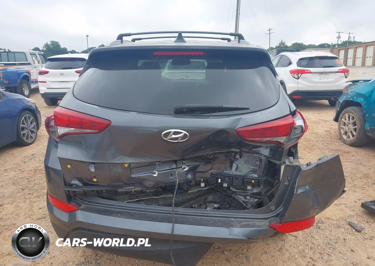 2017 Hyundai Tucson Se Plus VIN:KM8J3CA45HU413885 - 16