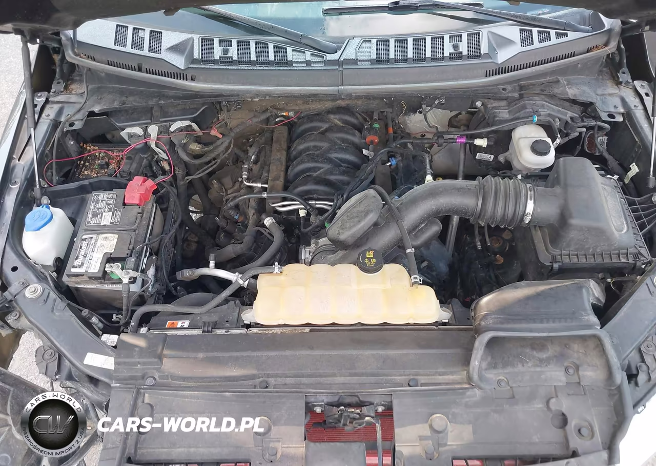 2019 Ford F-150 Xlt VIN:1FTEW1E56KKC38358 - 10