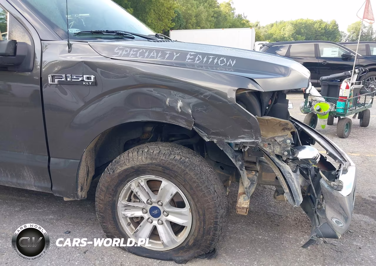 2019 Ford F-150 Xlt VIN:1FTEW1E56KKC38358 - 17