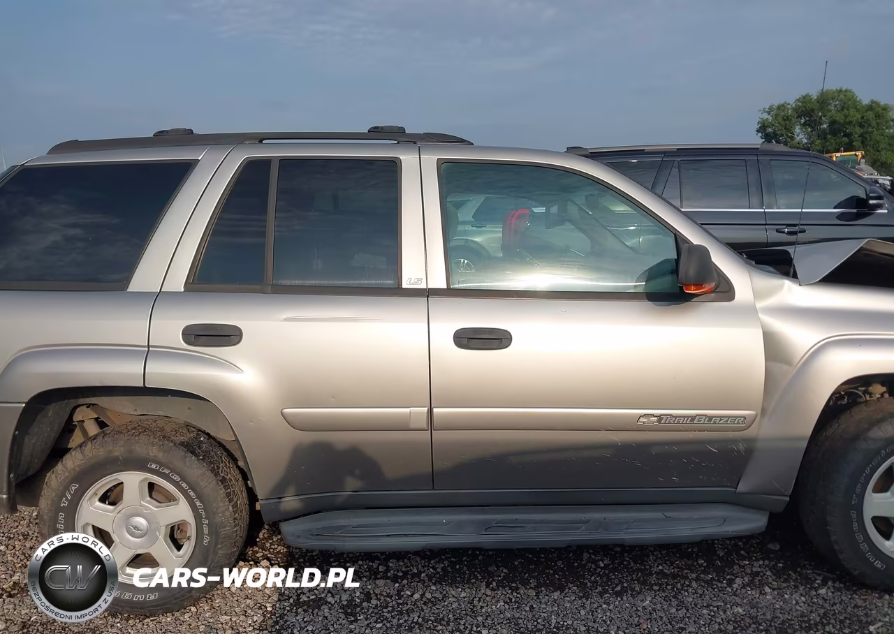 2002 Chevrolet Trailblazer Ls VIN:1GNDS13S922489365 - 13